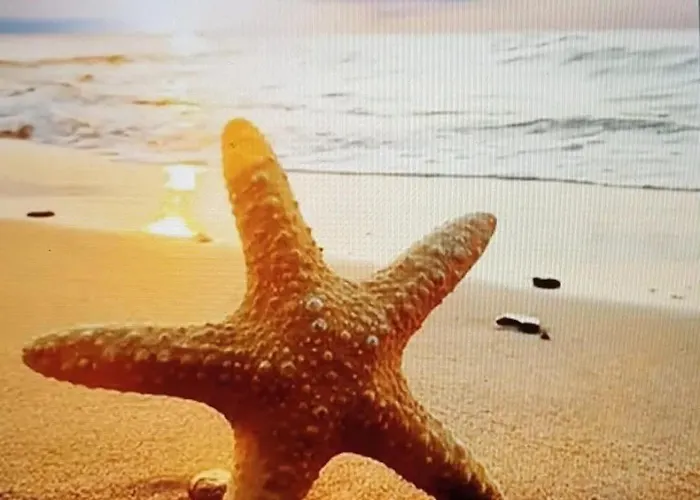 Apartament Pez Espada 1ª Linea Playa Y Parking Incluido